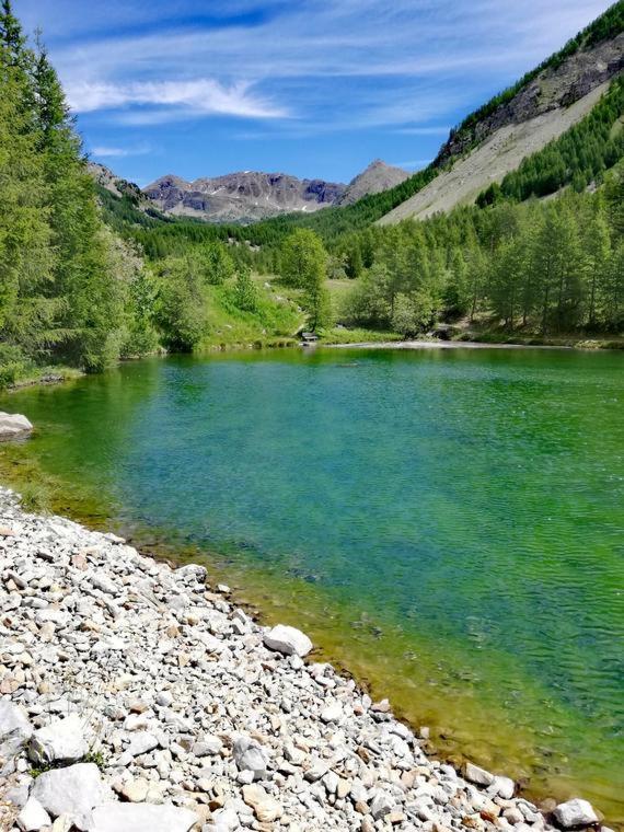 Chambre Aux Gorges De Daluis Guillaumes Ngoại thất bức ảnh